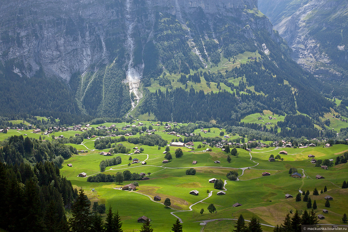 First, Grindelwald